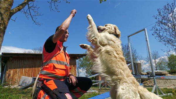 Schlierbach: Rettungshunde zeigen beim großen Trainingstag ihr Können